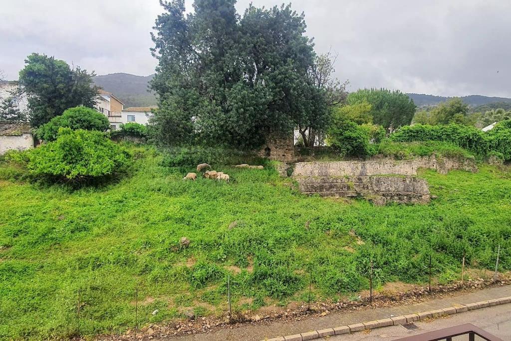 La Terracita Del Bosque Apartment Bagian luar foto